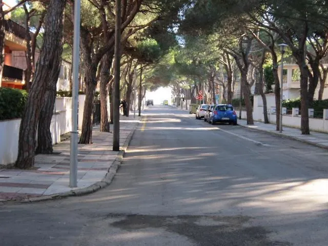 Mallorca 30 * بلاتجا ذارو